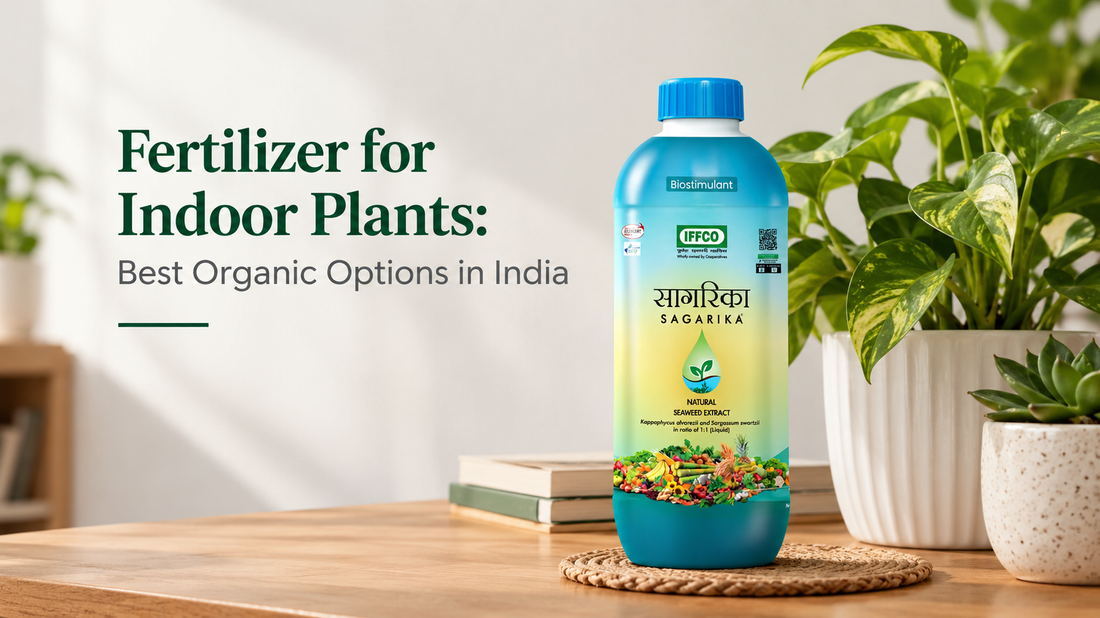 Fertilizer for Indoor Plants: Best Organic Options in India