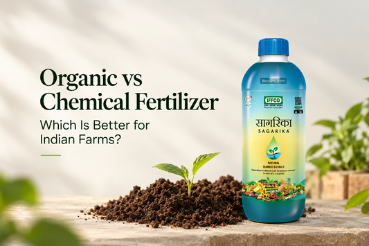Organic vs Chemical Fertilizer: Which Is Better for Indian Farms?
