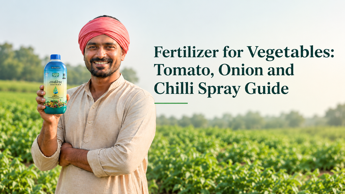 Fertilizer for Vegetables: Tomato, Onion and Chilli Spray Guide