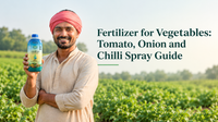 Fertilizer for Vegetables: Tomato, Onion and Chilli Spray Guide