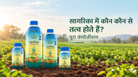 सागरिका में कौन कौन से तत्व होते हैं? पूरा कंपोज़ीशन
