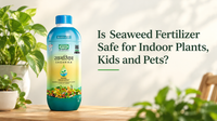 Is Seaweed Fertilizer Safe for Indoor Plants, Kids and Pets?